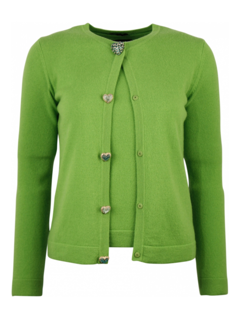 Twinset appeltjes groen