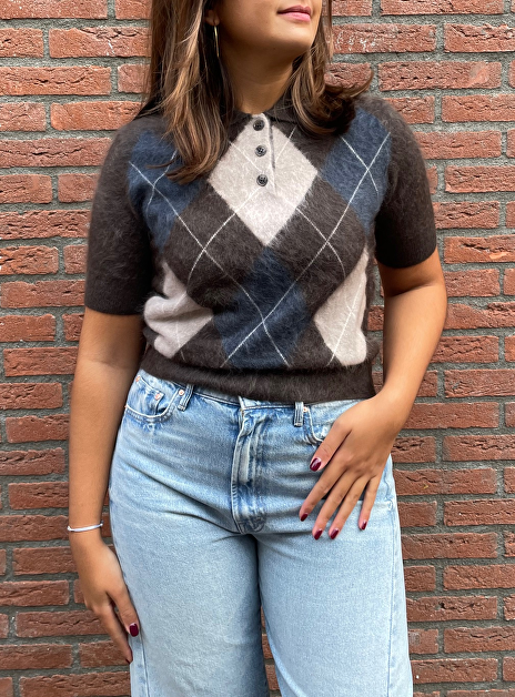 Polo giovanna bruin met ruit