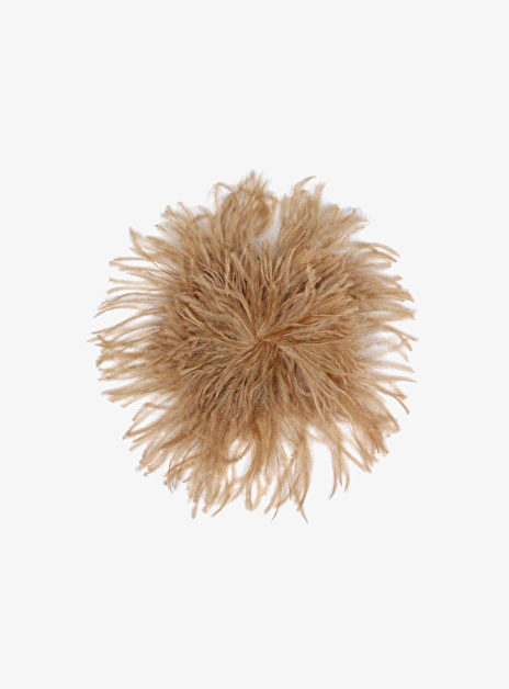 Broche enjoy pluimen goud