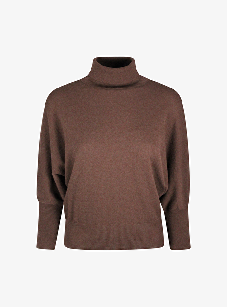 Pull olga bruin turtle