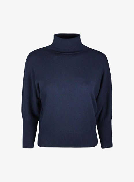 Pull olga marine turtle