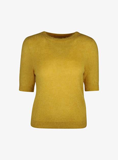 Pull orel alpamix harig geel