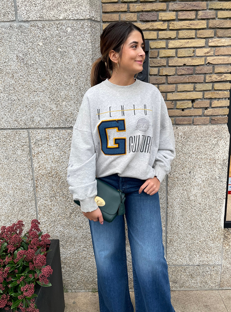 Casual in golden goose