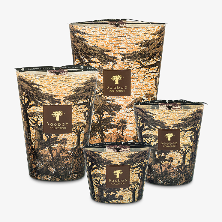 BAOBAB COLLECTION